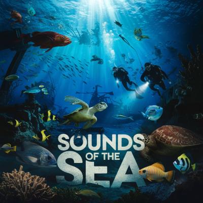 Sounds Of The Sea 4